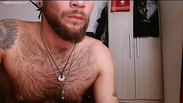 Вебкам-шоу DominanThewolff
