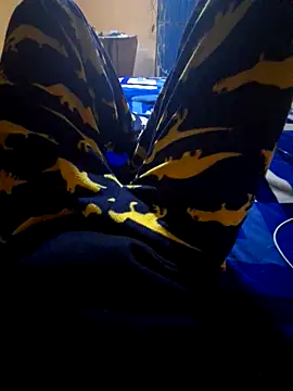pollin_10 Webcamshow