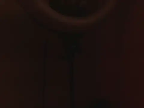 Violet_Donell élő XXX-chatje