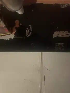 BunnyYT's Live XXX Chat