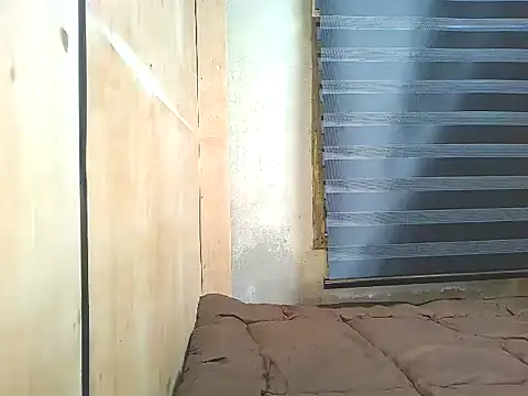 steinny_n Webbikameraesitys