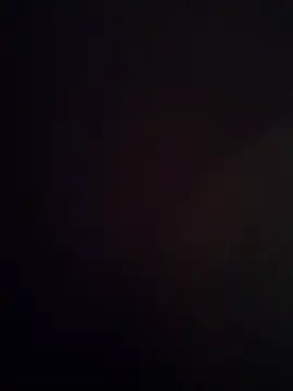 Baumhackelのウェブカメラショー