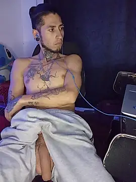 Show modela Tattoboy19cm na web-kameri