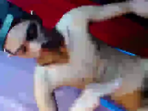 Twink_cristian27 Pertunjukan Webcam