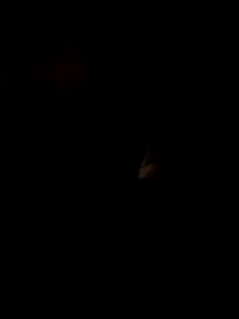 FeloBad Webcam Show