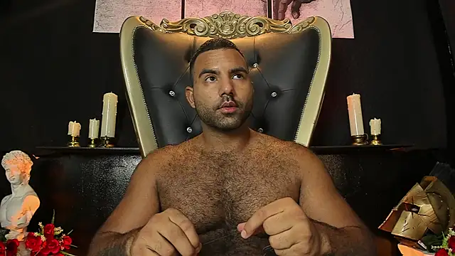 BeardAndrewのウェブカメラショー