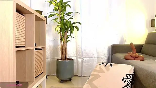 Bruno_Rangel's Live XXX Chat