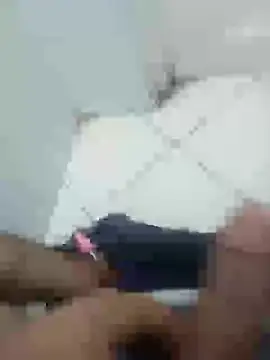 Stallionbull37 Show Webcam