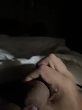 novinn13n Webbikameraesitys