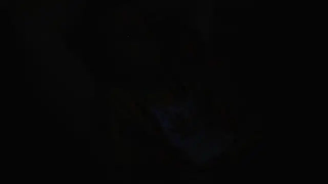 عرض كام neverwinter44