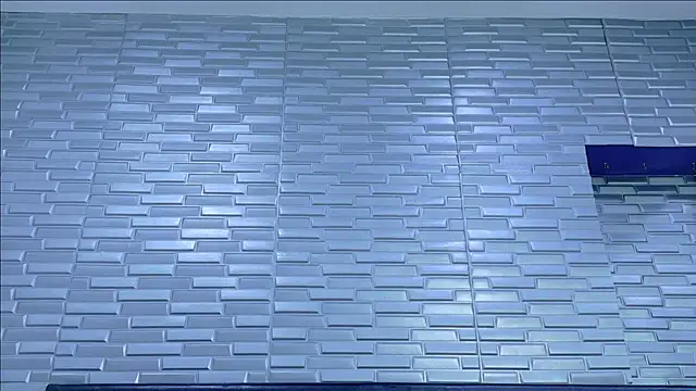 Chat +18 de SeraphynLuxora ao vivo