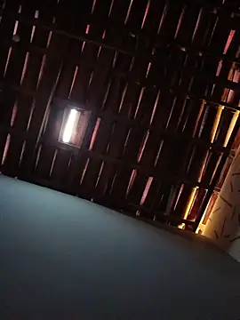 Rogtinho01 webkamerás műsora
