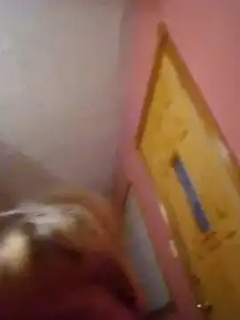 JemJensen30 – Naživo XXX chat