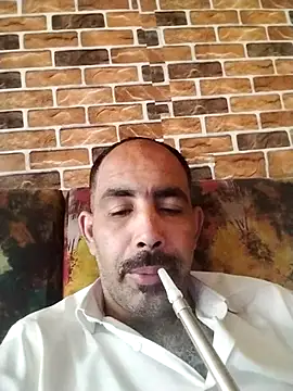 Pokazy przed kamerką – salimbasha