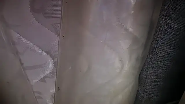 KungFuPanda001 Webcam show