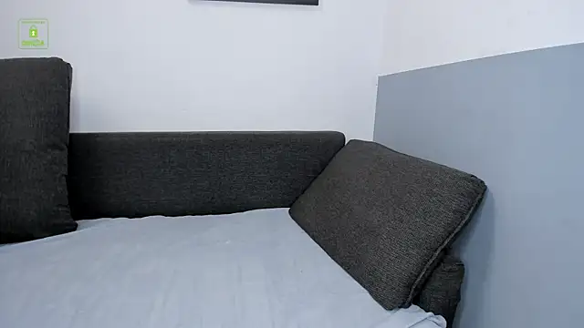 Show Webcam de Quentin_Blake