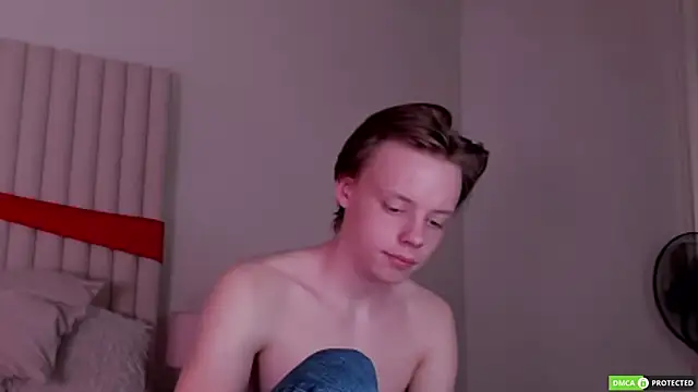 SimonWarnern Webbikameraesitys