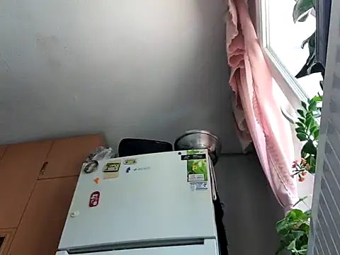PandaDadd Pertunjukan Webcam