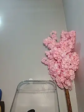 kinkybeby 라이브 XXX 채팅