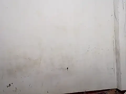 Wild-Dreams Pertunjukan Webcam