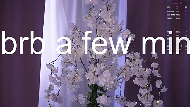 FancyEsten 即時 XXX 聊天