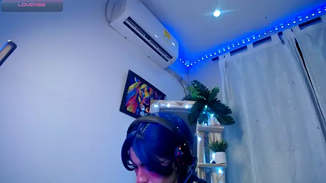 Show webcam de Ryu-sam