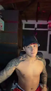 Show webcam de dylan_wels