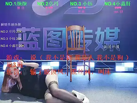WWHAA Show Webcam