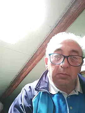Show Webcam de Ficosy