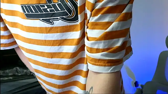 DENIS_HERE Show Webcam