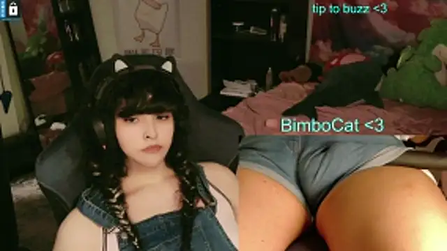 BimboCat: απευθείας συνομιλία ΧΧΧ