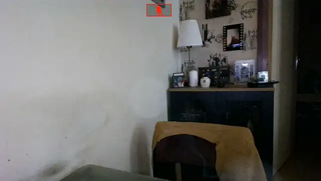 Hgay6935 웹캠 쇼