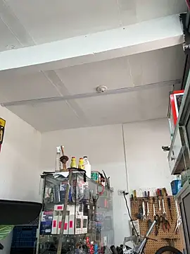 Paul22cm- 在線直播表演