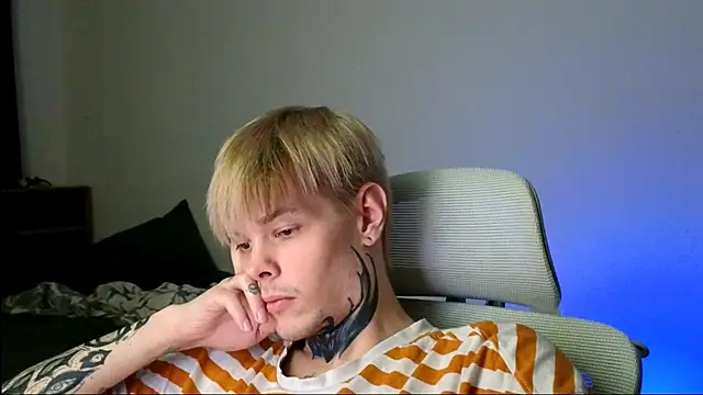 DENIS_HEREn Webbikameraesitys