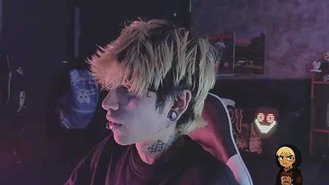 AcidMiloのウェブカメラショー