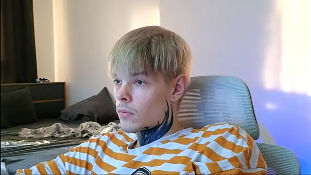 DENIS_HERE Show Webcam