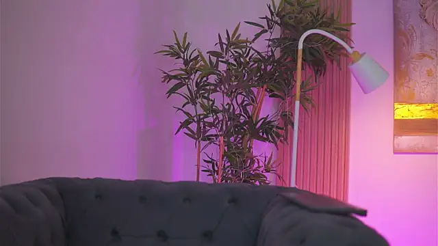 Aisha_Bee Live XXX-Chat