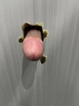عرض كام justdoitgogo