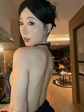 AYW-21 Show Webcam