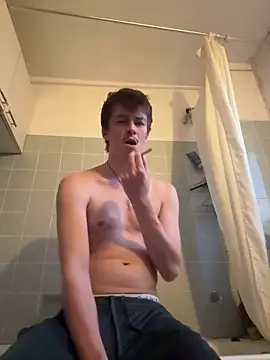Show webcam de Toyjungee