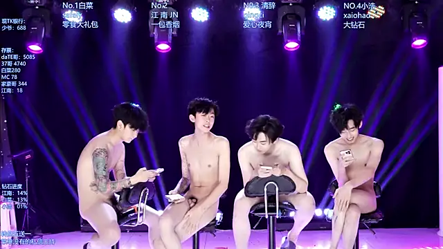 AOA-MIC Webcam show