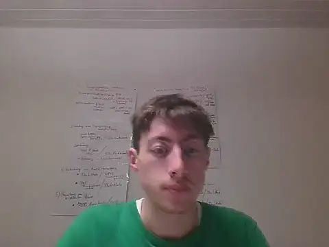 VelvetRagottiOG 网络视讯表演