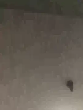 Sexyheelskev Show Webcam