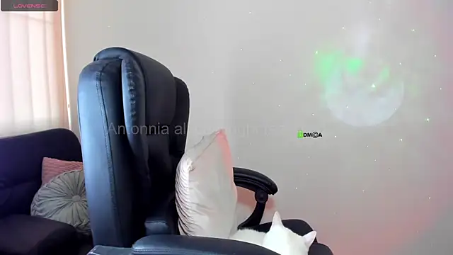 Živý XXX chat Anttonia_Rose