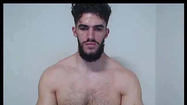 Show webcam de hiddenf
