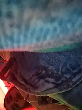 katty_42 现场XXX聊天