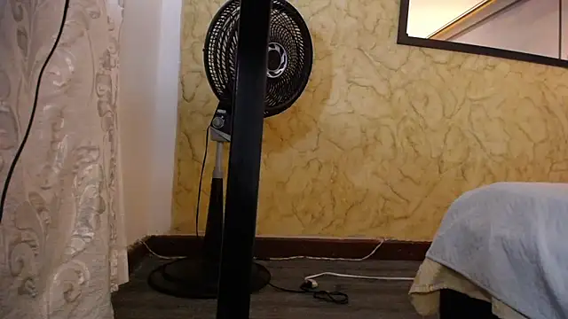 lion_180 Webcam Show