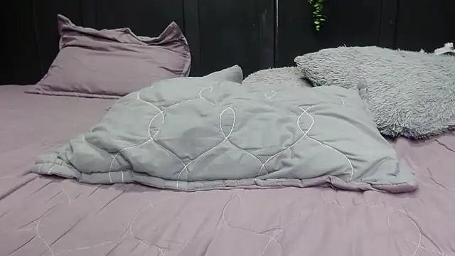 Show de Jesve na webcam