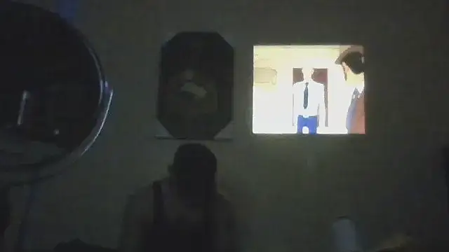 hailzeffn Webcam show