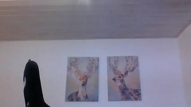Gotta1n Webbikameraesitys